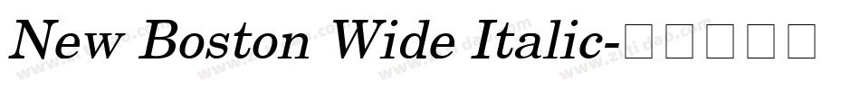 New Boston Wide Italic字体转换